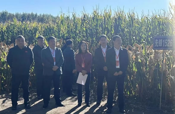 f(xi)M_չ׸߮a(chn)r}{(dio)