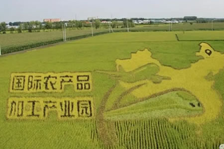 ؖ|׆ήa(chn) ZlF(xin)